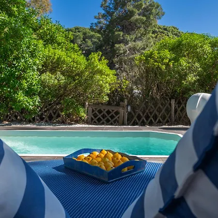 Amouage Boutique * Kolios